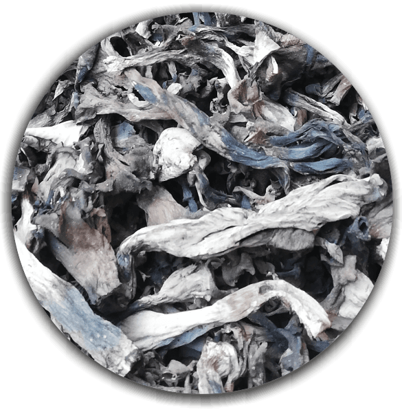 Product image #2