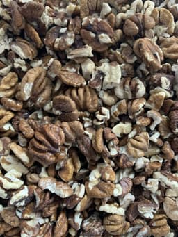 Wild Foraged Hickory Nuts (Shelled) - Buy Online | Foraged
