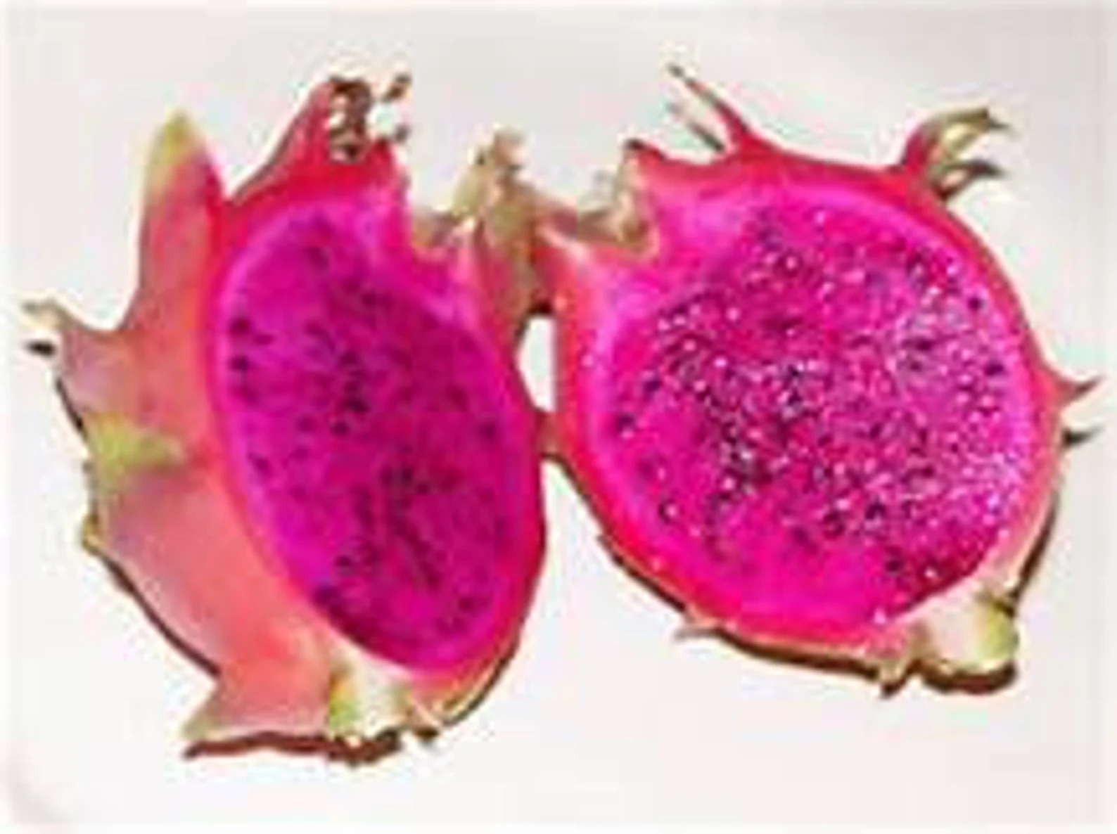 Product image #1