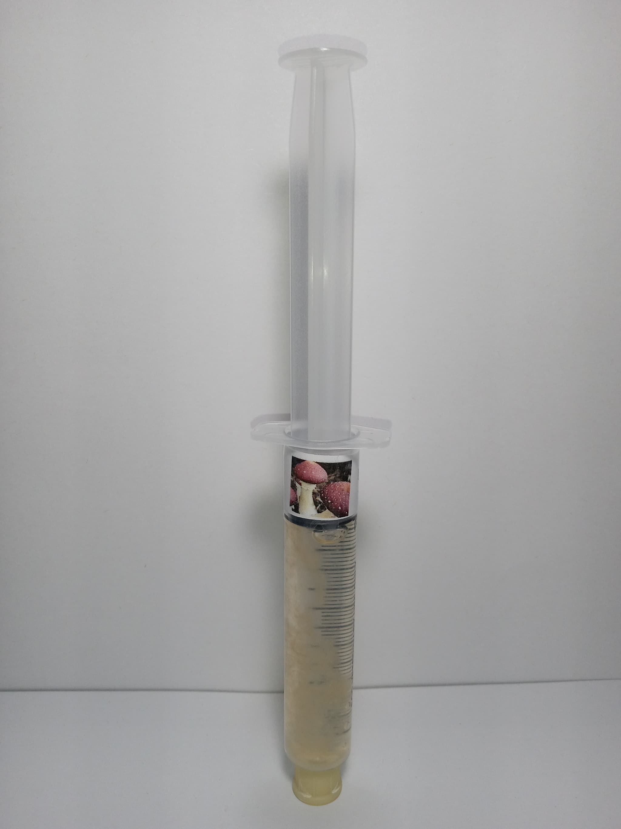 Product image #1