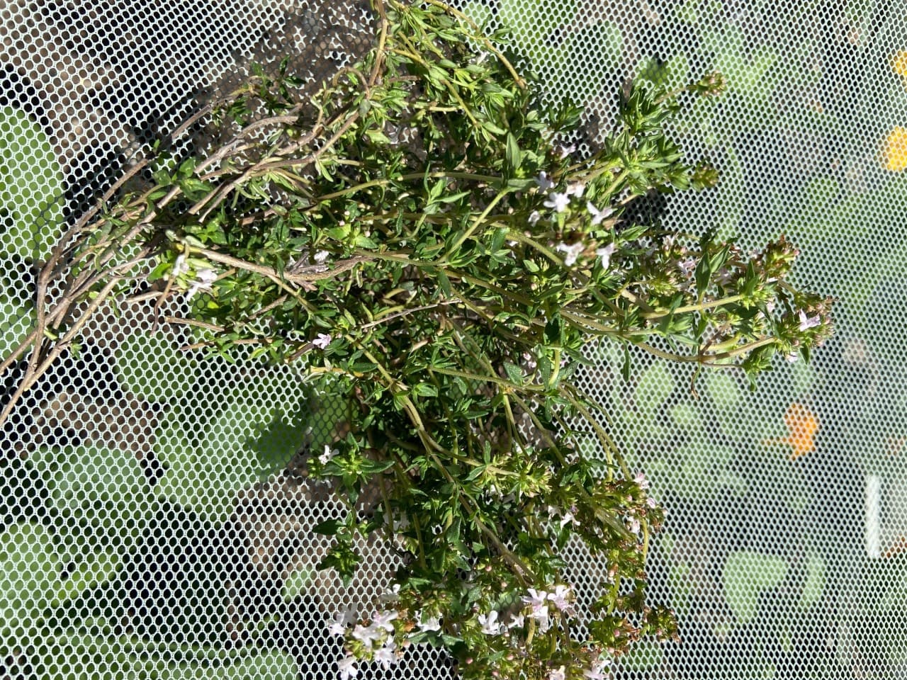 Product image #1