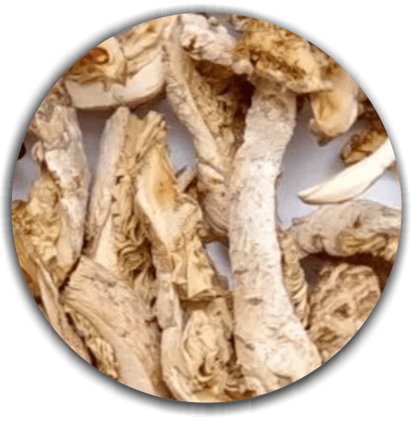 Product image #2