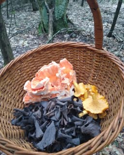 Forage for Change