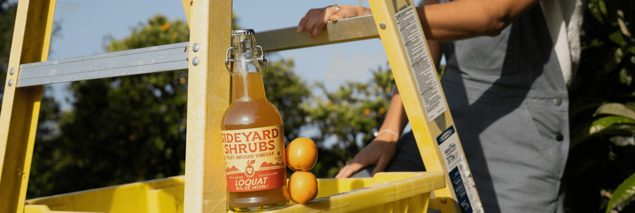 Sideyard Shrubs's banner