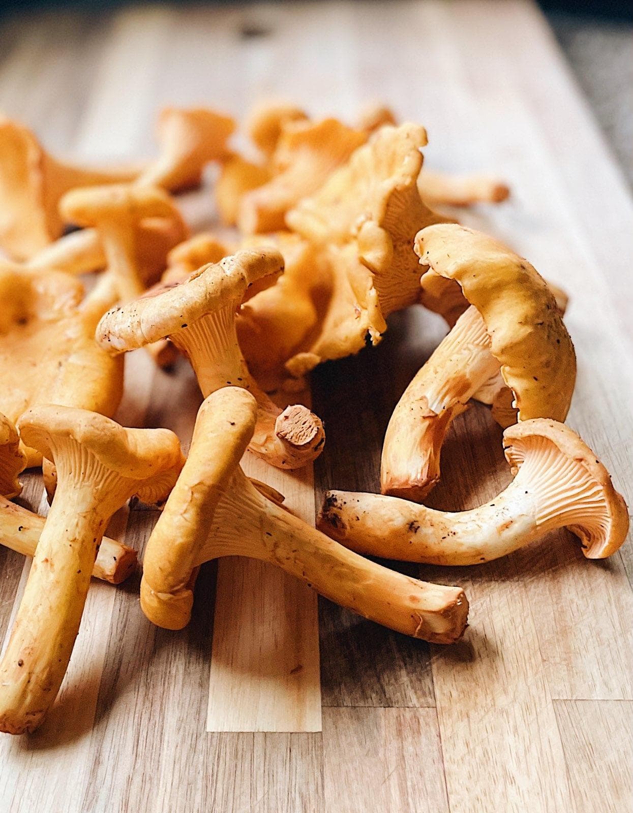 Select Wild Mushrooms's banner