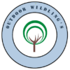 OutdoorWildlings