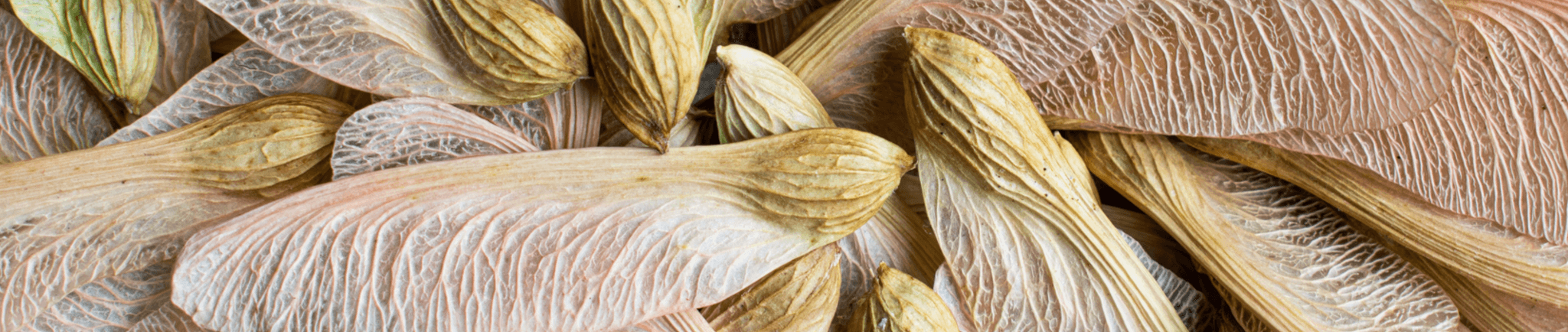 JB's Pantry's banner