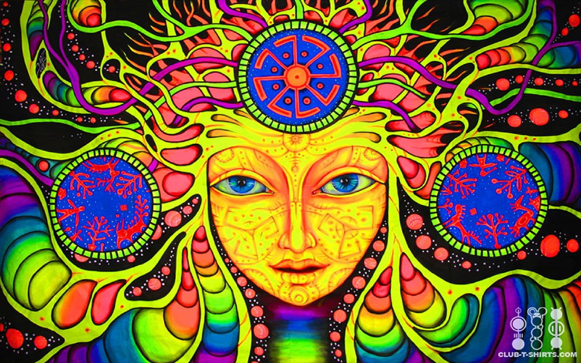 Trippy Hippie's banner