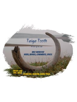 Taiga Tooth
