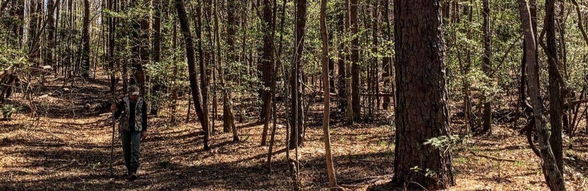 OutdoorWildlings's banner