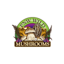 PNW Wild Mushrooms