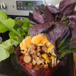 Shell's 2 Little Acre Edibles