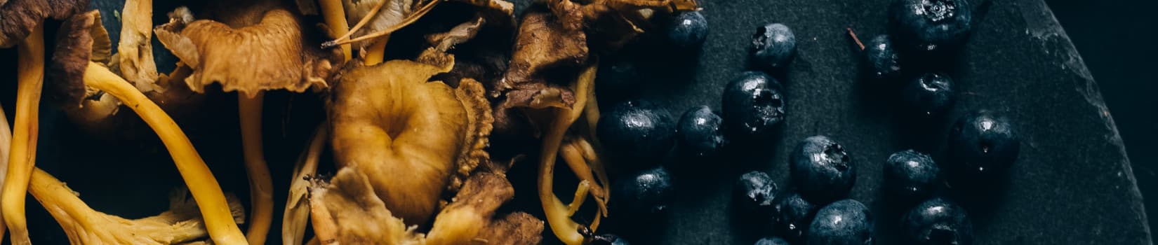 Champlain Champignon - Gourmet Mushrooms's banner