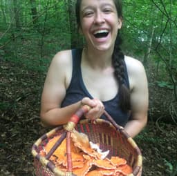 Tannenbaum Wild Foods