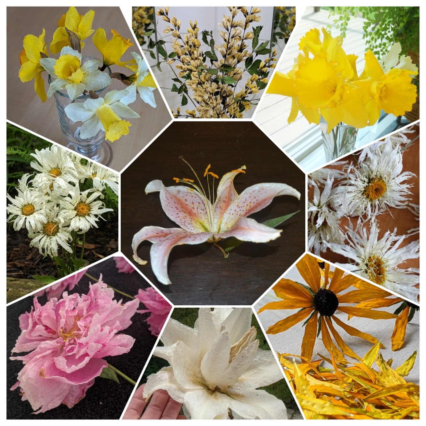 Northern Garden Gems's banner