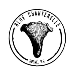 Blue Chanterelle