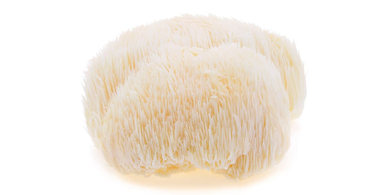 Amelie's Gourmet Mushrooms 's banner