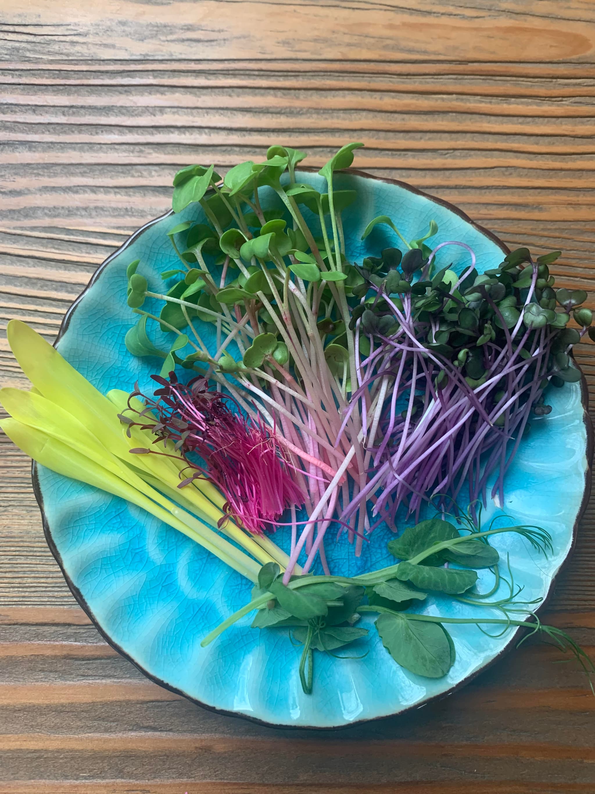 Natures Medicine 's banner