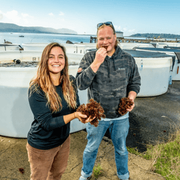 Oregon Seaweed