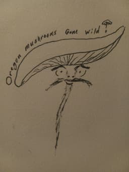 Oregon Mushrooms Gone Wild