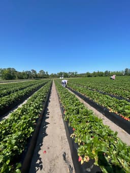 Leggy Flats Farm