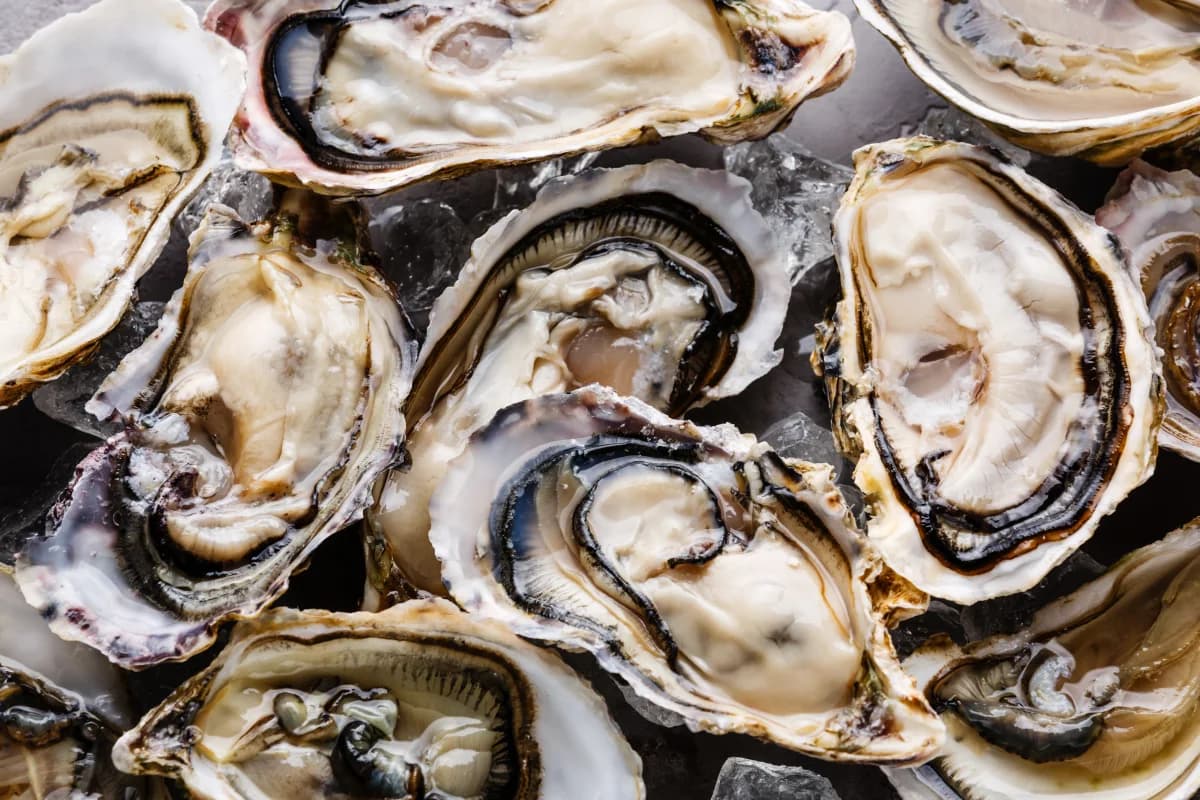 Davy Jones Shellfish Co.'s banner