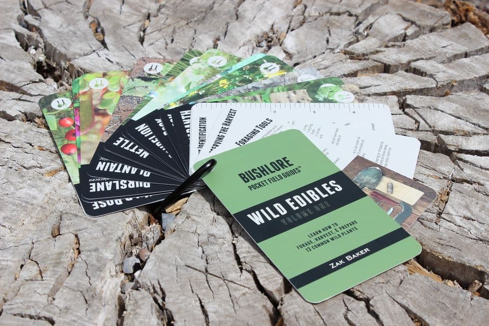 Bushlore Press Pocket Field Guides's banner