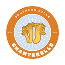 Southern Belle Chanterelle