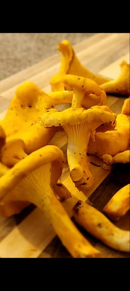 Select Wild Mushrooms