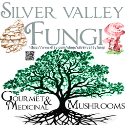 Silver Valley Fungi