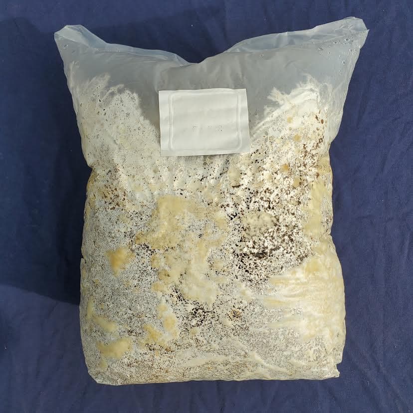 Product image #2