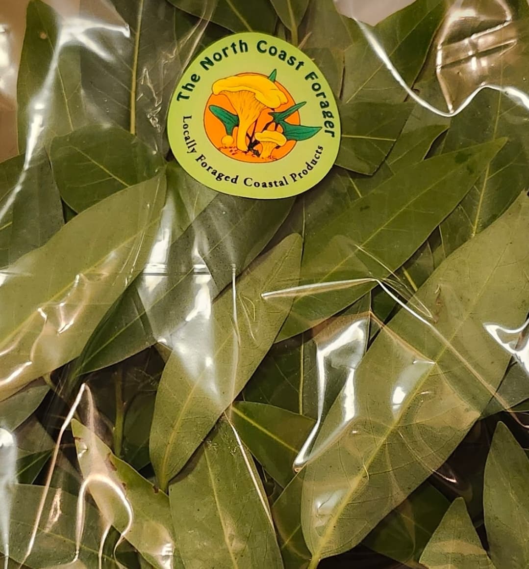 Product image #1