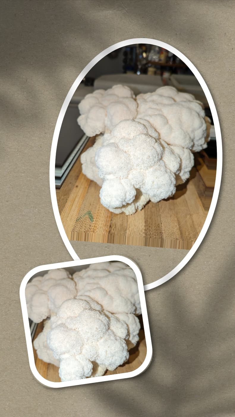 Product image #1