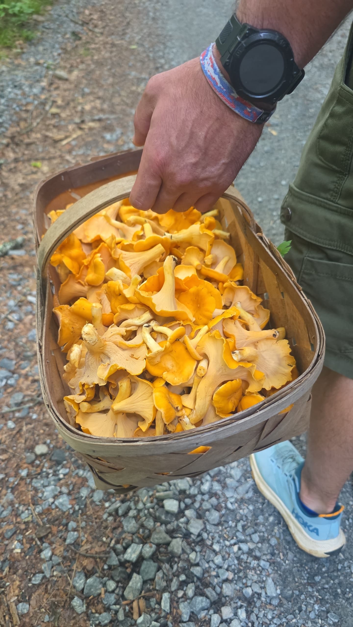 Mountain MushRoamers's banner