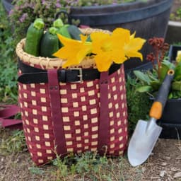 WaspfriendFarms