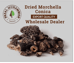 Fazal Muhammad Traders