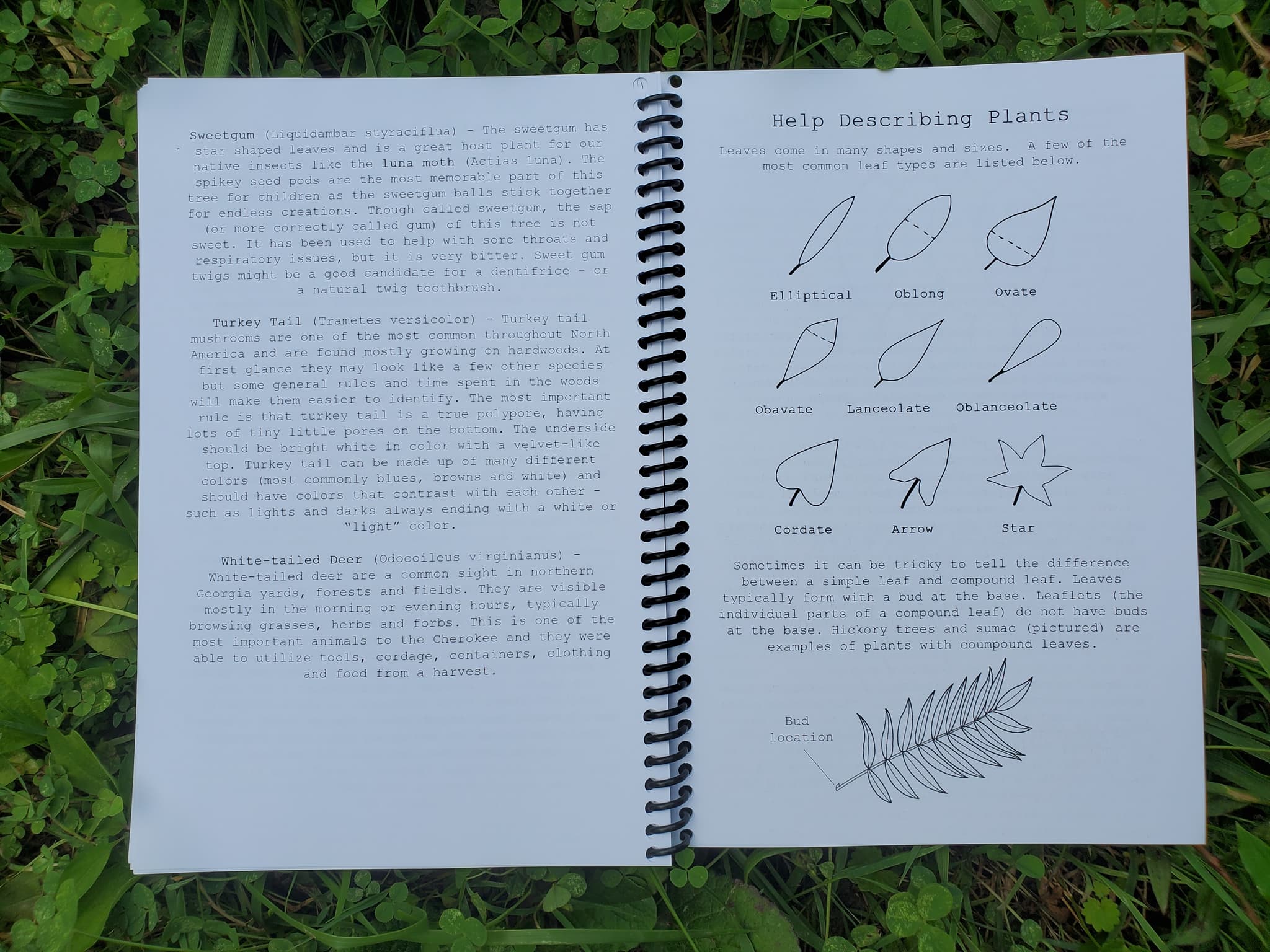 Product image #2