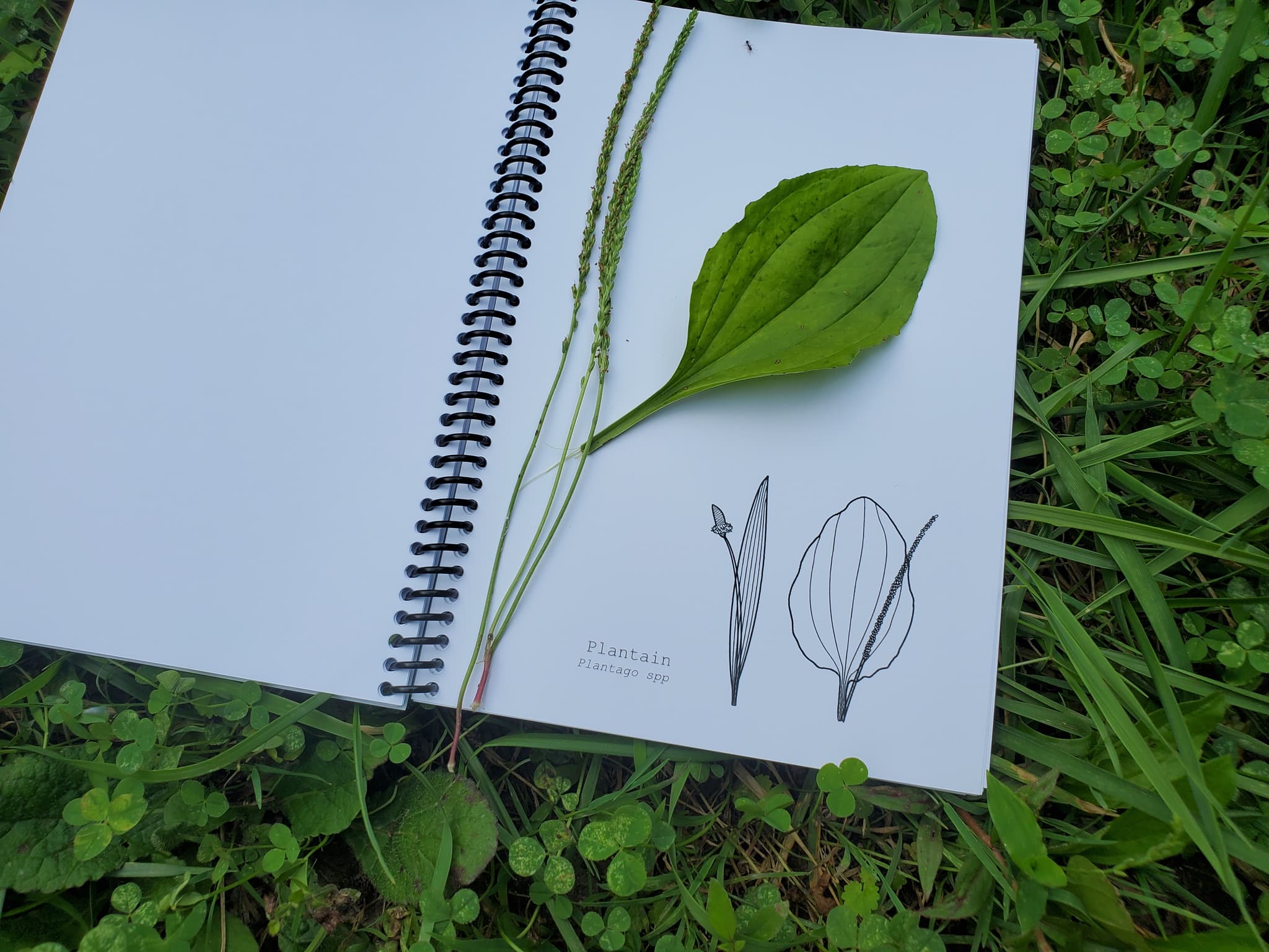 Product image #3