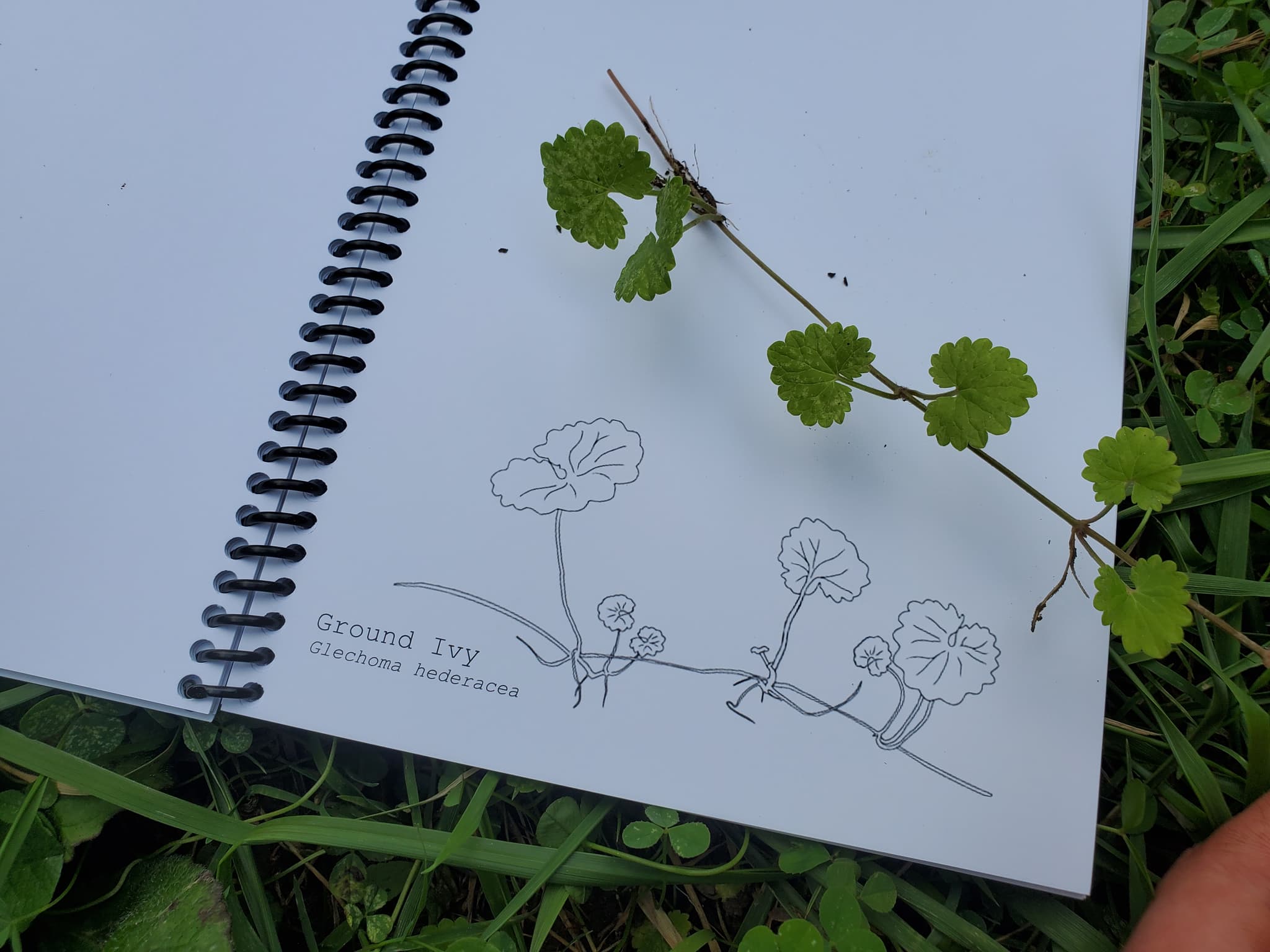 Product image #4