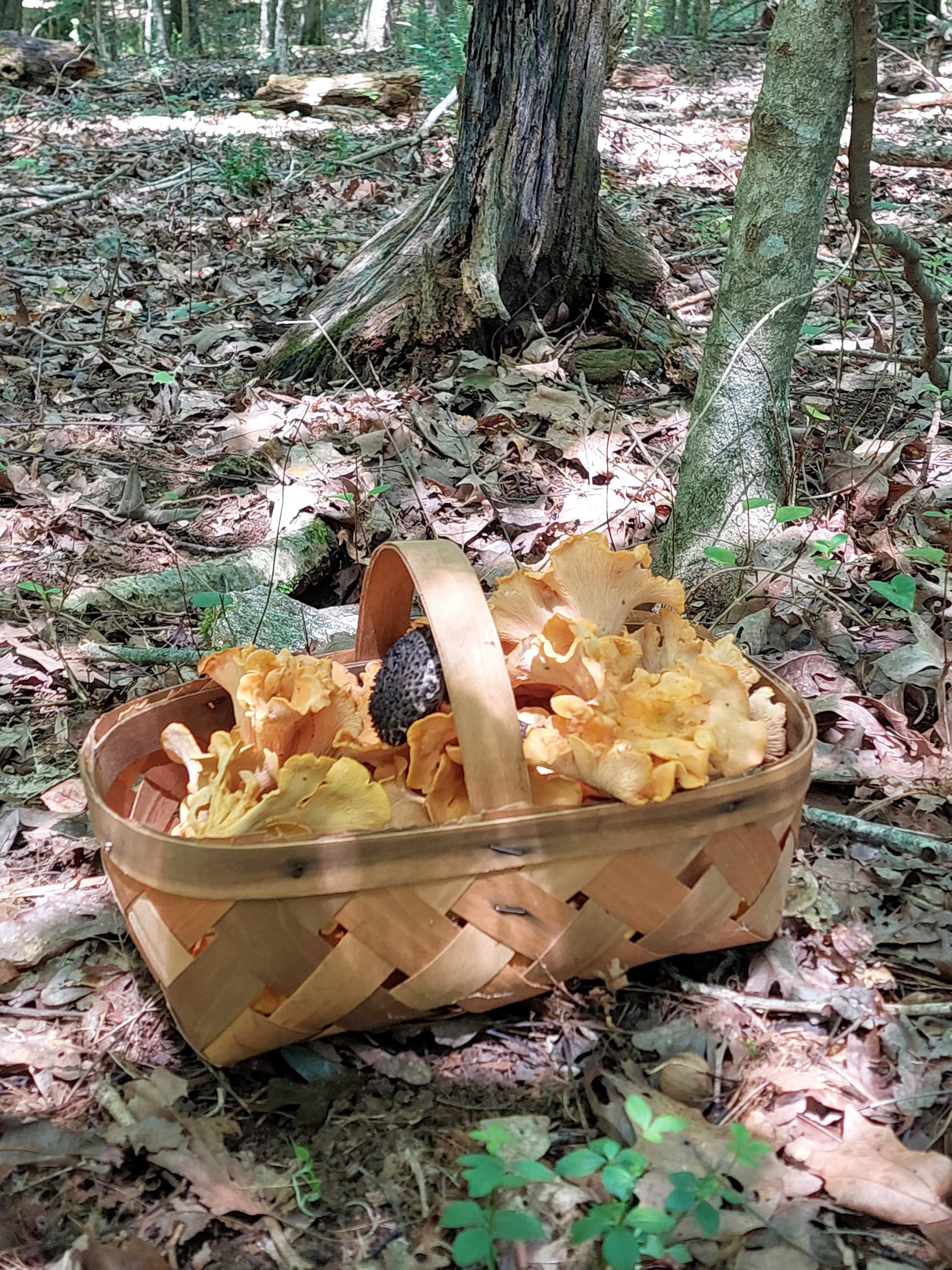 Product image #1
