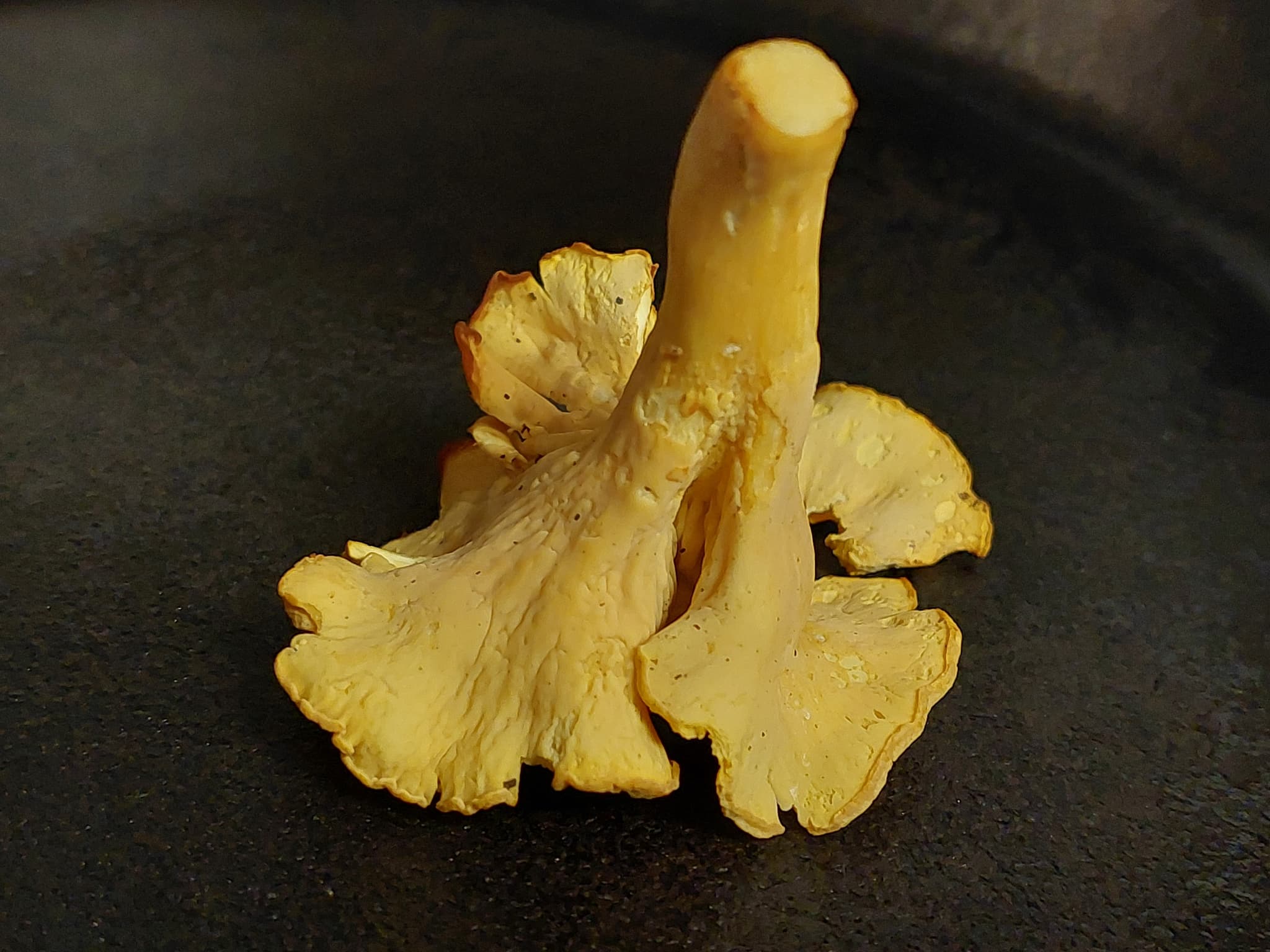 Product image #2
