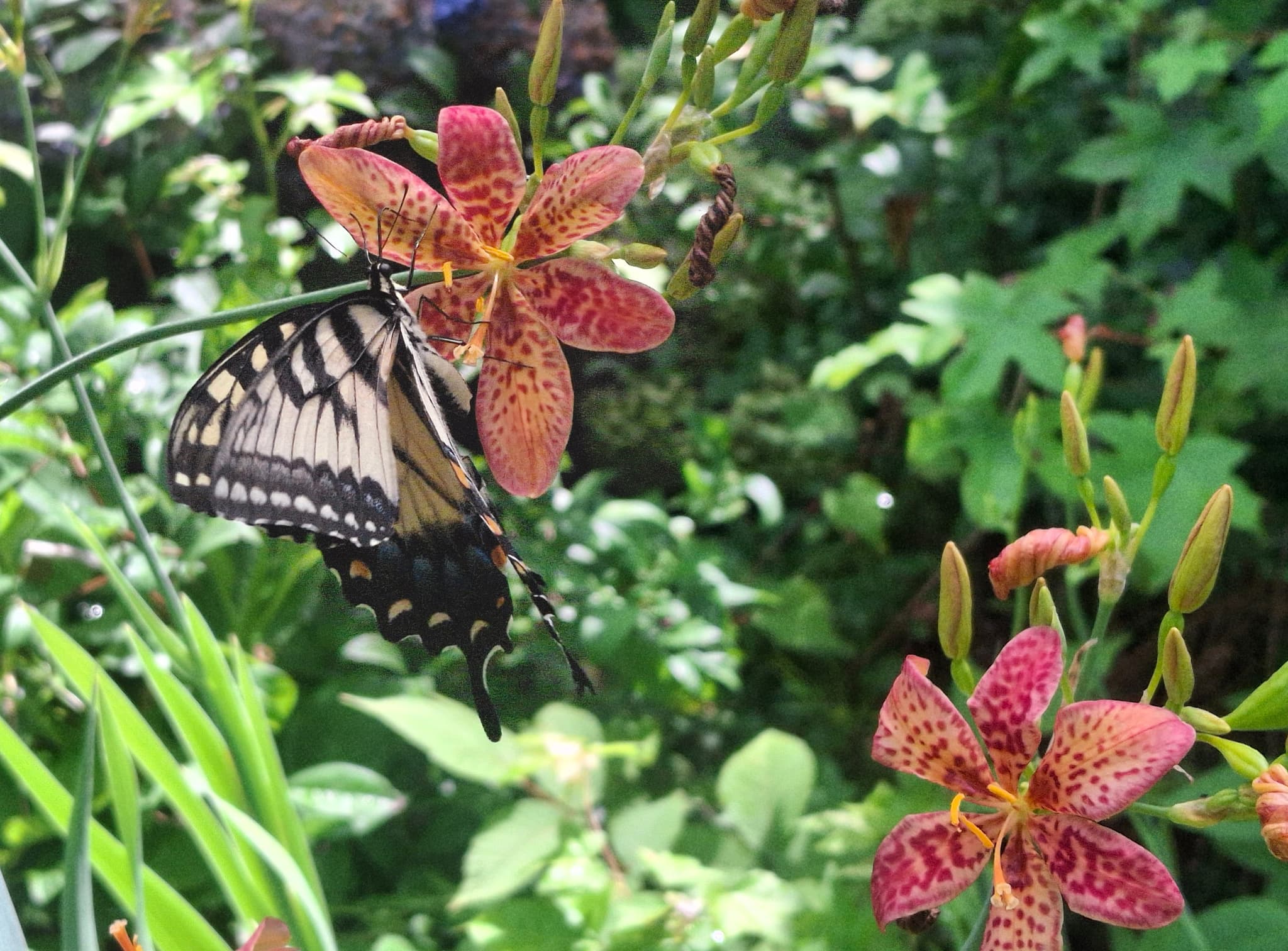 Product image #1