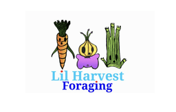Lil Harvest