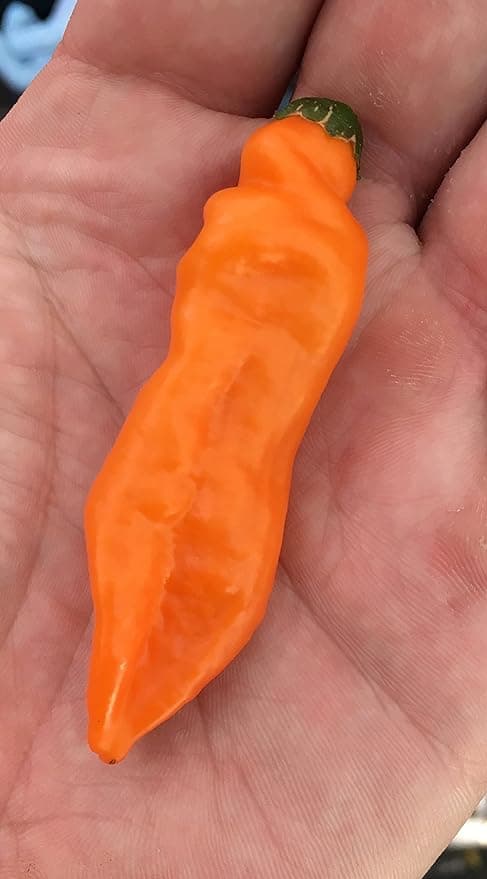 Product image #1