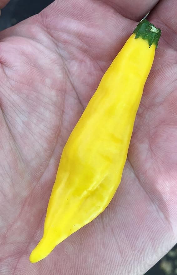 Product image #1