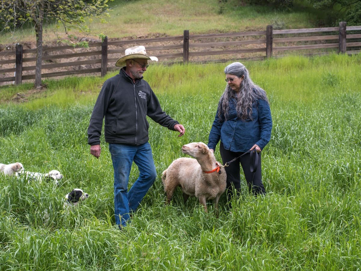 Devils Gulch Ranch's banner