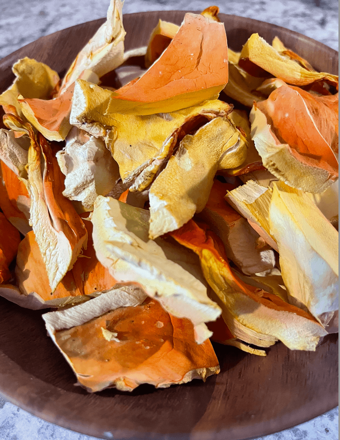 Dried Wild Foraged Chicken of the Woods (Laetiporus sulphureus)