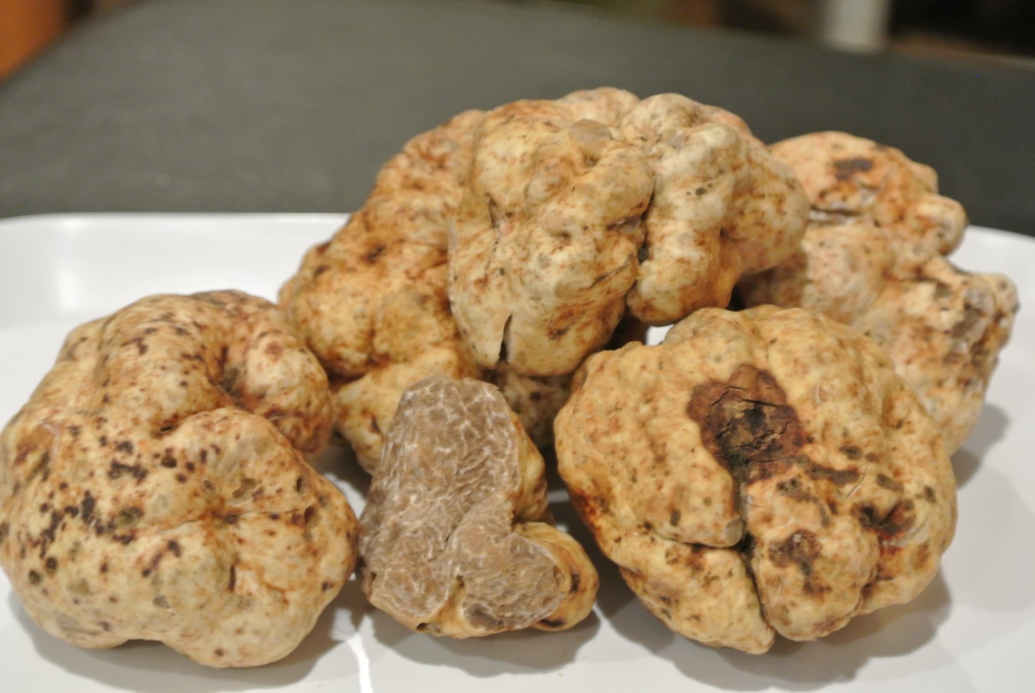 Fresh 100% DOG FOUND Oregon White Truffles