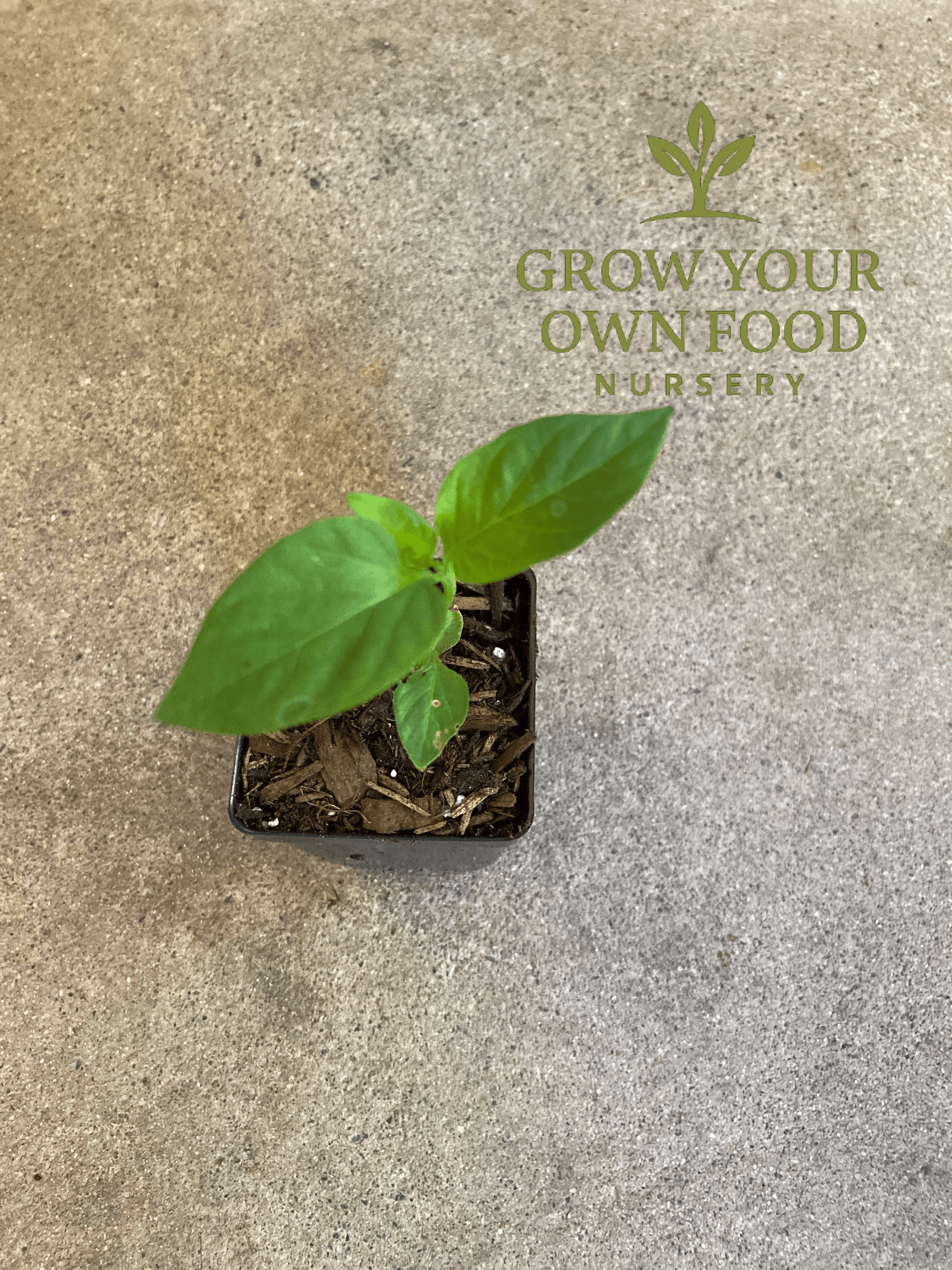 Product image #2