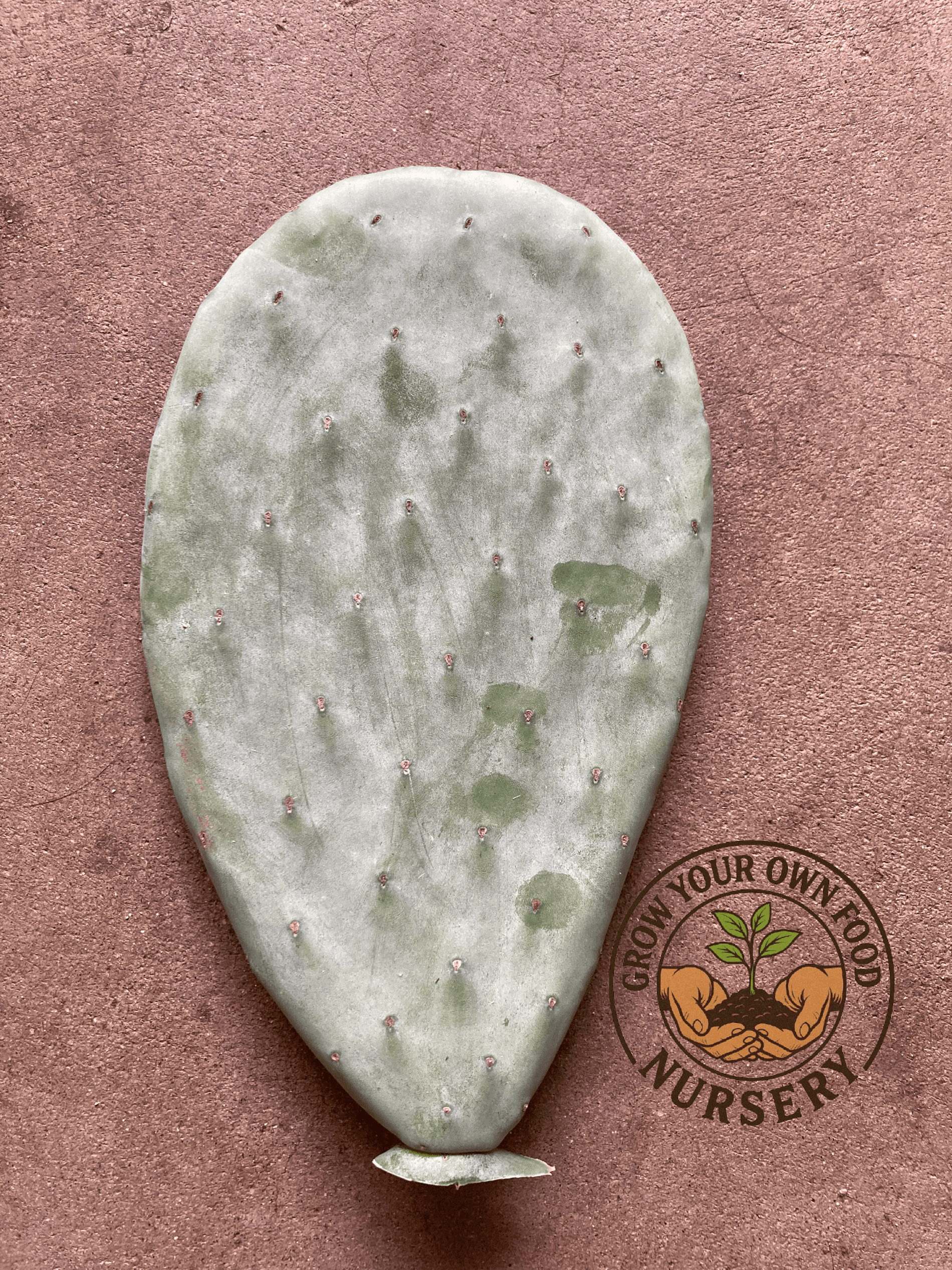 Product image #3